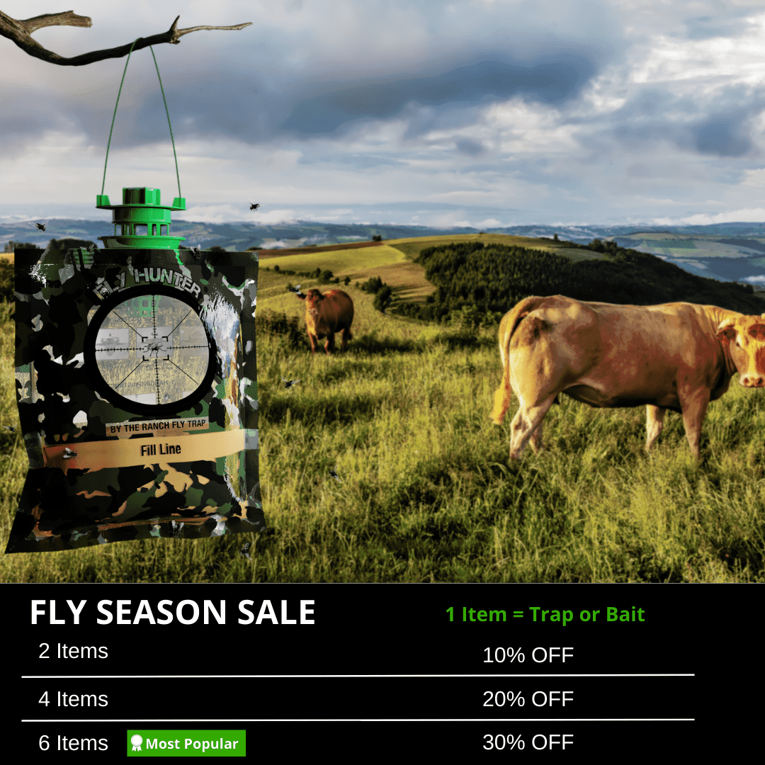 The Fly Hunter