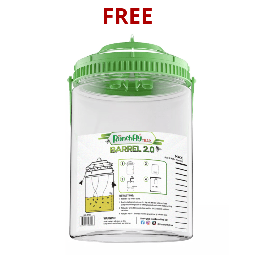 Barrel 2.0 Fly Trap (Free Gift)