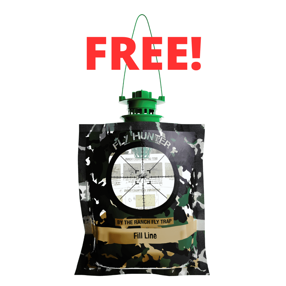 The Fly Hunter (Free Gift)