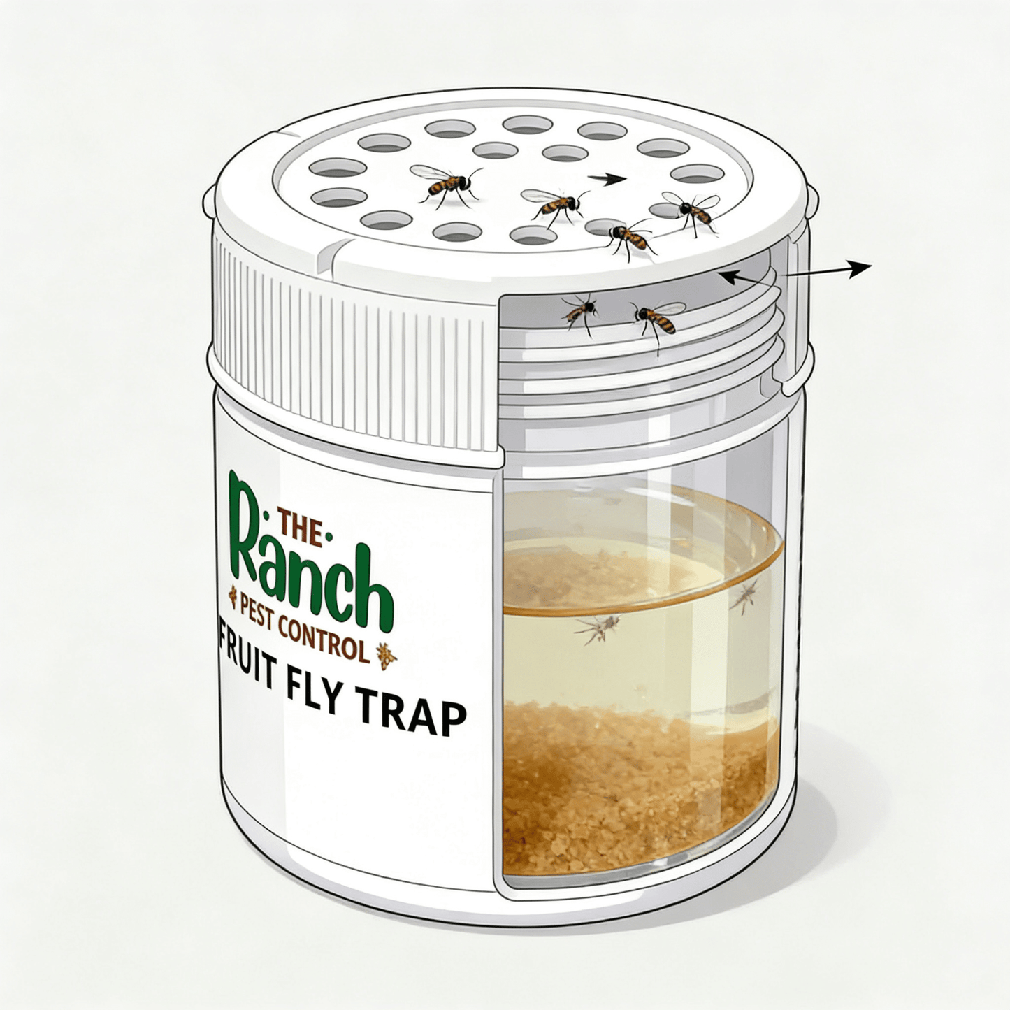 Fruit Fly Trap