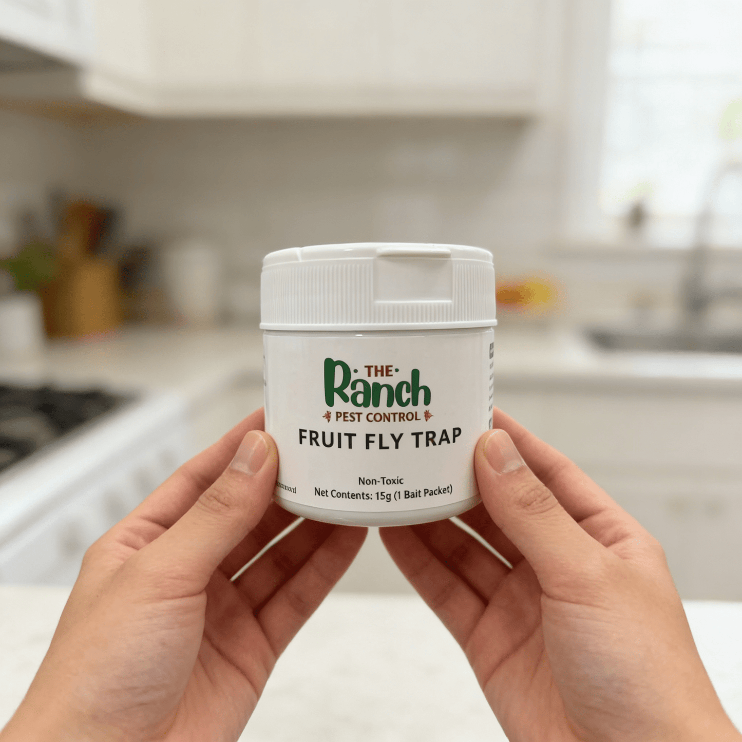 Fruit Fly Trap